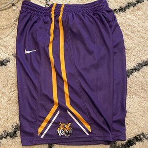 Purple and Gold Wildcat Basketball Shorts